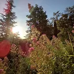 Calme, Serenite Et Nature Laroque-des-Albères