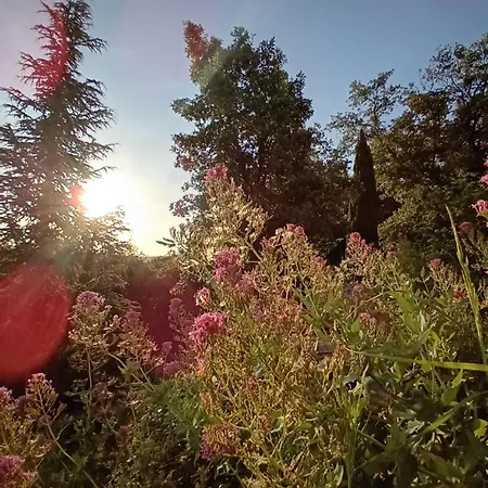 Calme, Serenite Et Nature Laroque-des-Albères