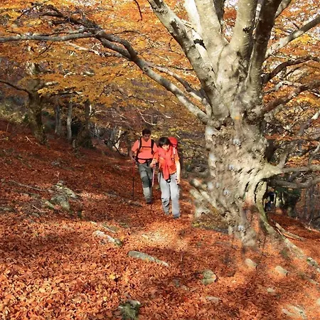 アパート Calme, Serenite Et Nature Laroque-des-Albères