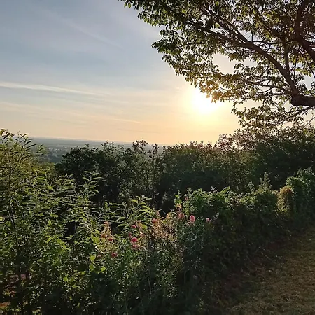 Calme, Serenite Et Nature Laroque-des-Albères