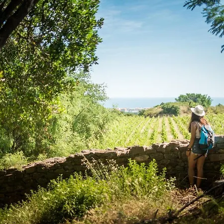 Calme, Serenite Et Nature