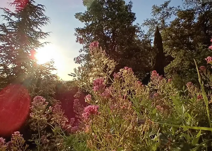 Calme, Serenite Et Nature Laroque-des-Albères