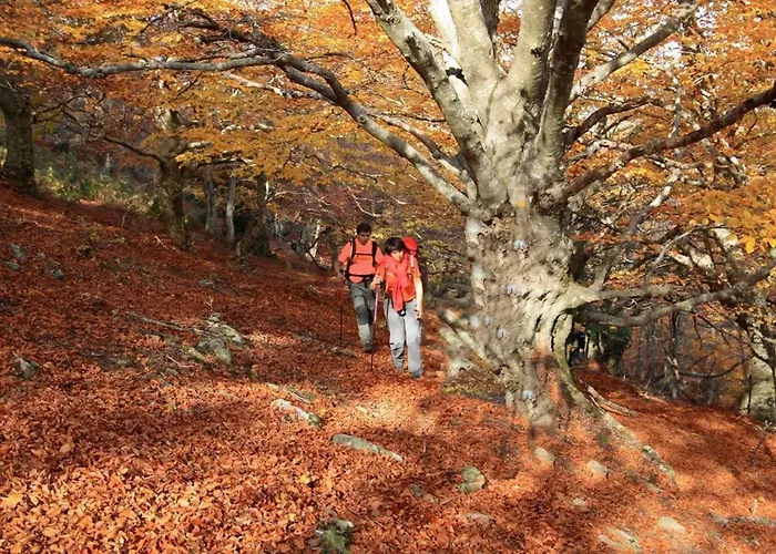 Lejlighed Calme, Serenite Et Nature Laroque-des-Albères