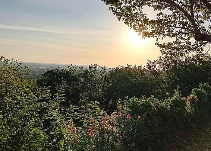 Calme, Serenite Et Nature Laroque-des-Albères