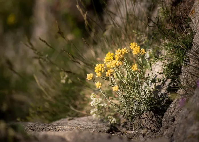 Calme, Serenite Et Nature