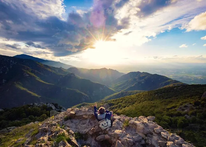 Lejlighed Calme, Serenite Et Nature Laroque-des-Albères